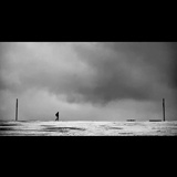 dailyPhoto8