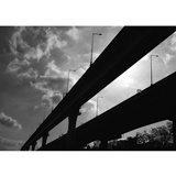 dailyPhoto40