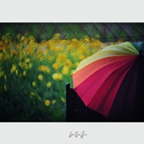 dailyPhoto34