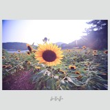 dailyPhoto22