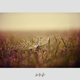 dailyPhoto6
