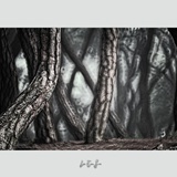 dailyPhoto1