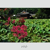 dailyPhoto34