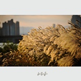 dailyPhoto21