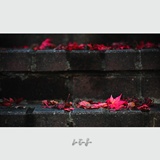dailyPhoto30