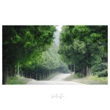 dailyPhoto20