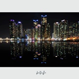 dailyPhoto40