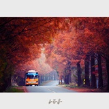 dailyPhoto17