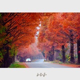 dailyPhoto22
