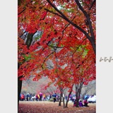 dailyPhoto3