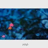 dailyPhoto35
