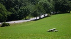 dailyPhoto5