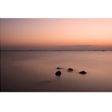 dailyPhoto8