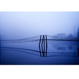 dailyPhoto10