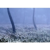 dailyPhoto7