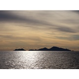 dailyPhoto11