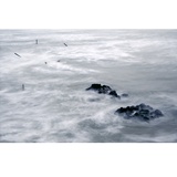dailyPhoto7