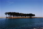 dailyPhoto5