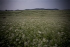 dailyPhoto28