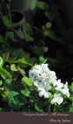 dailyPhoto37
