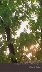 dailyPhoto8