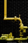 dailyPhoto18