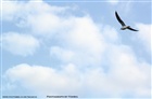 dailyPhoto2