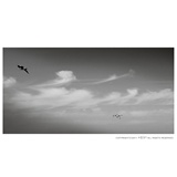dailyPhoto38