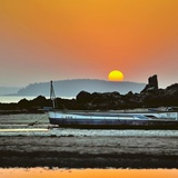 dailyPhoto1