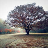 dailyPhoto13