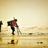 dailyPhoto24