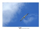 dailyPhoto37