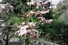 dailyPhoto24