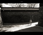 dailyPhoto16