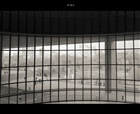 dailyPhoto32