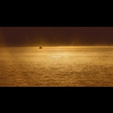dailyPhoto8