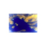 dailyPhoto29