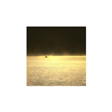dailyPhoto1