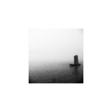 dailyPhoto39