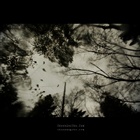 dailyPhoto9