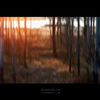 dailyPhoto23