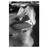 dailyPhoto19