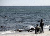 dailyPhoto37