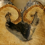 dailyPhoto36