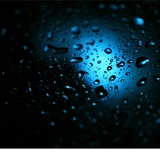 dailyPhoto15