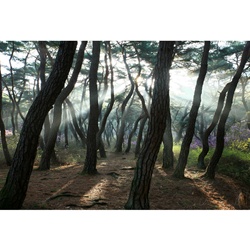 dailyPhoto28