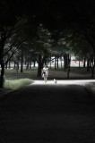 dailyPhoto38
