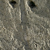 dailyPhoto36