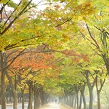 dailyPhoto10