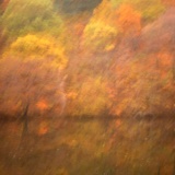 dailyPhoto34